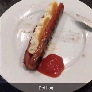 Meet your Posher, Conor